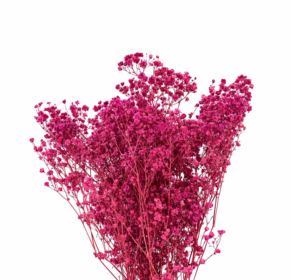 Pres Gyps Pink Bunch 100gr