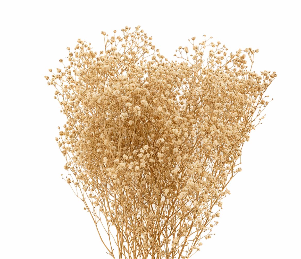 Pres Gyps Naturel Bunch 100gr