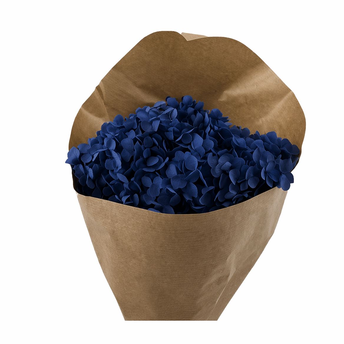 Pres Hydrangea Dark Blue Bunch