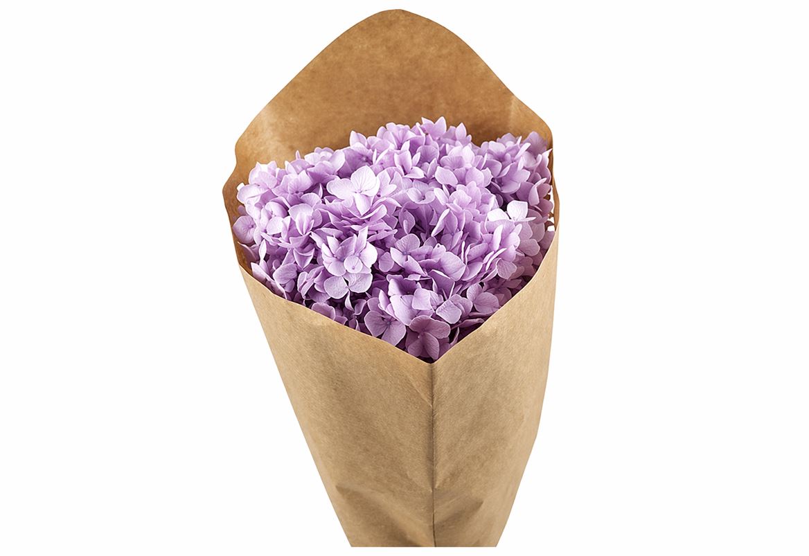 Pres Hydrangea Lilac Bunch