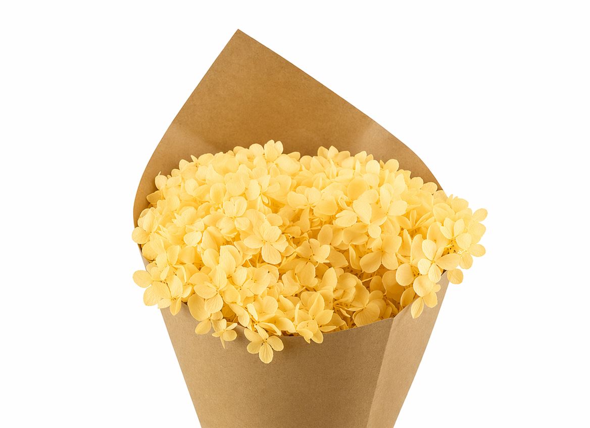 Pres Hydrangea Soft Yellow Bunch