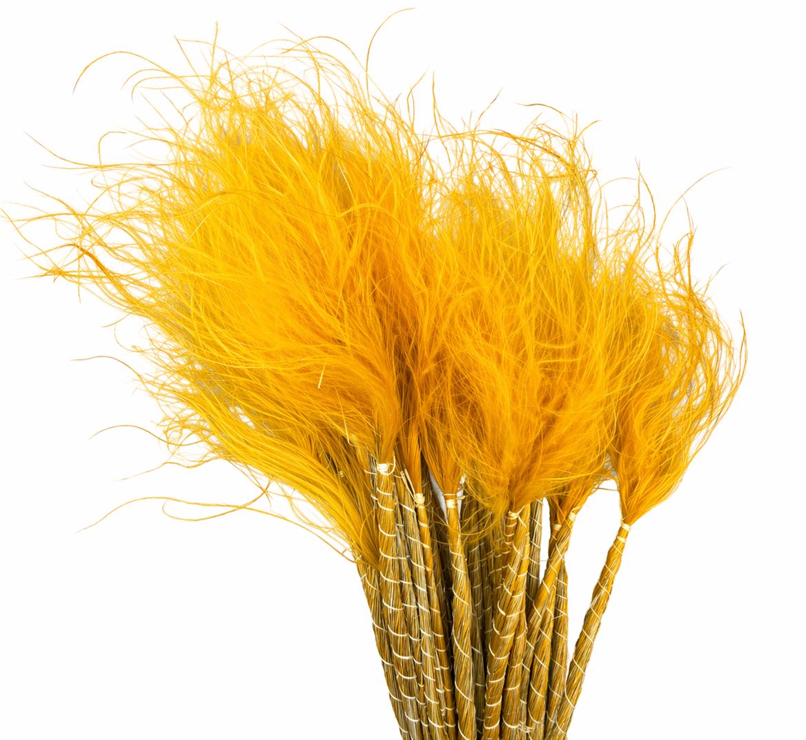 Dried Stypha Penata Yellow(10 Toef) Bunch