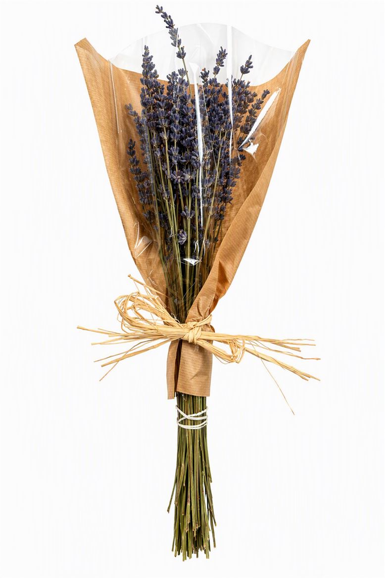 Lavandula Blue Per Bunch 45cm 100gr.
