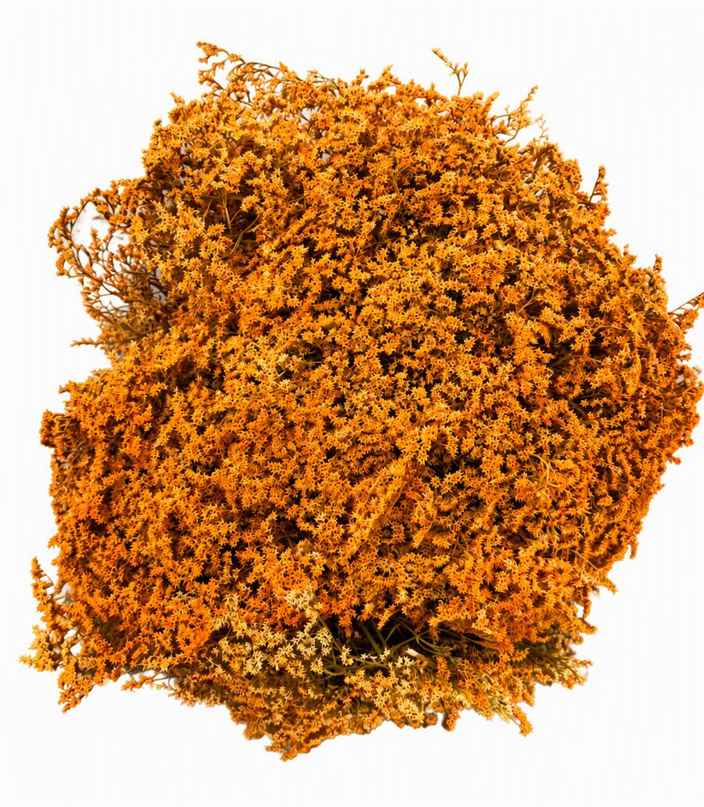 Dried Statice Tatarica Orange 600gr Bunch