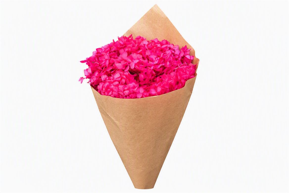 Pres Hydrangea Fuchsia Bunch