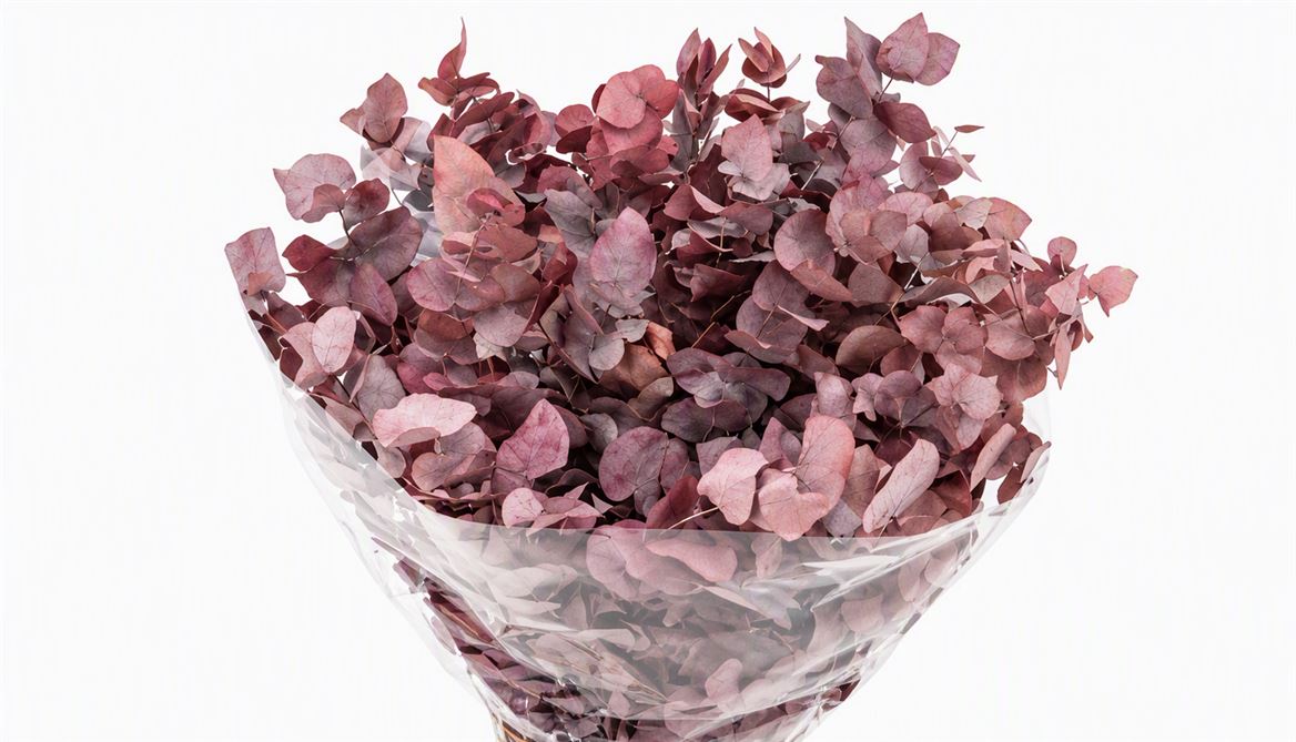 Pres Euca Stuartiana Lilac Amethyst Bunch