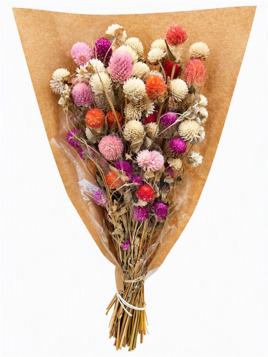 Dried Gomphrena Mix Bunch