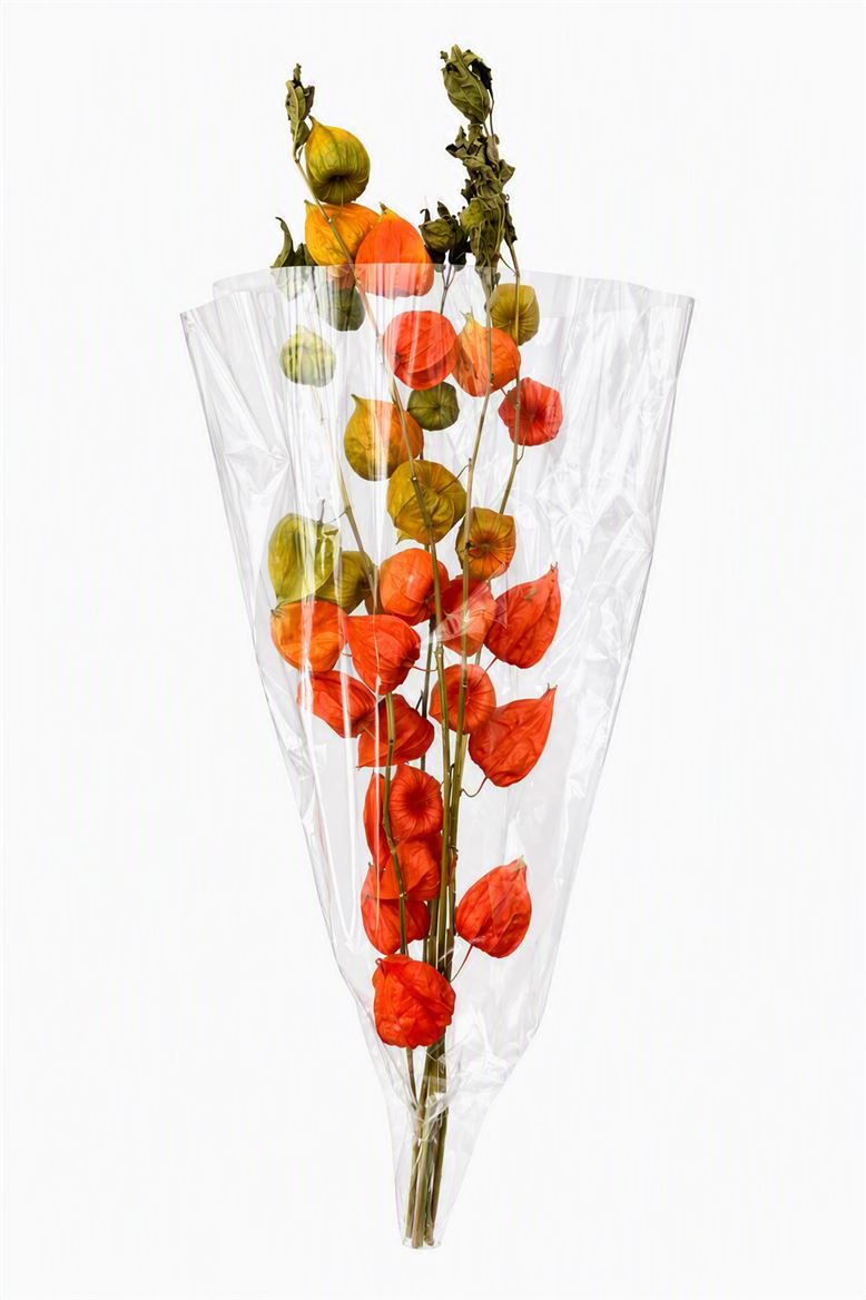 Dried Physalis Orange Nat Bunch Slv