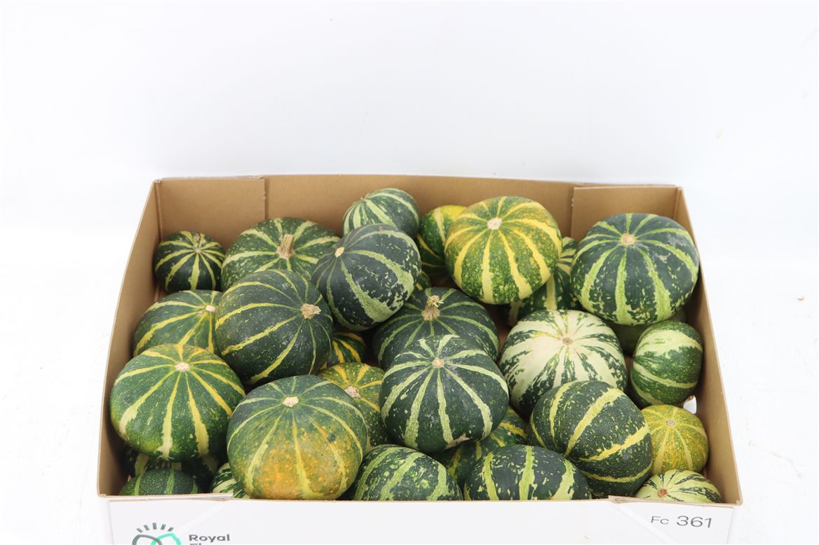 Ornamental Fruits Per Piece
