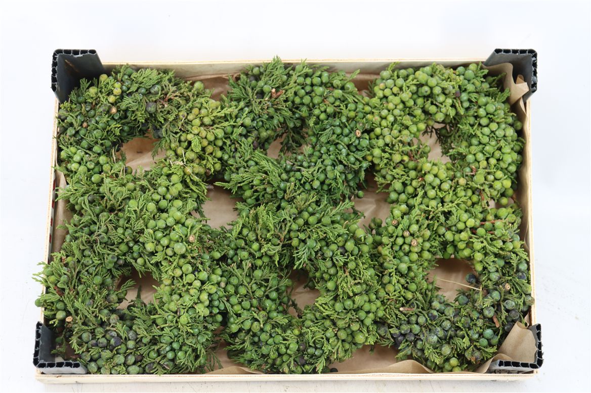 Fruits Malus Per Piece