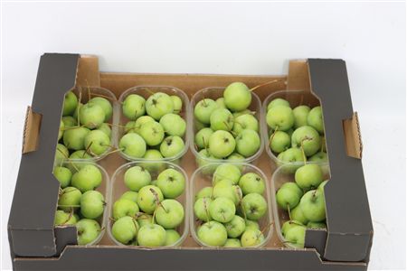 Sier Malusappel Groen Plat X8
