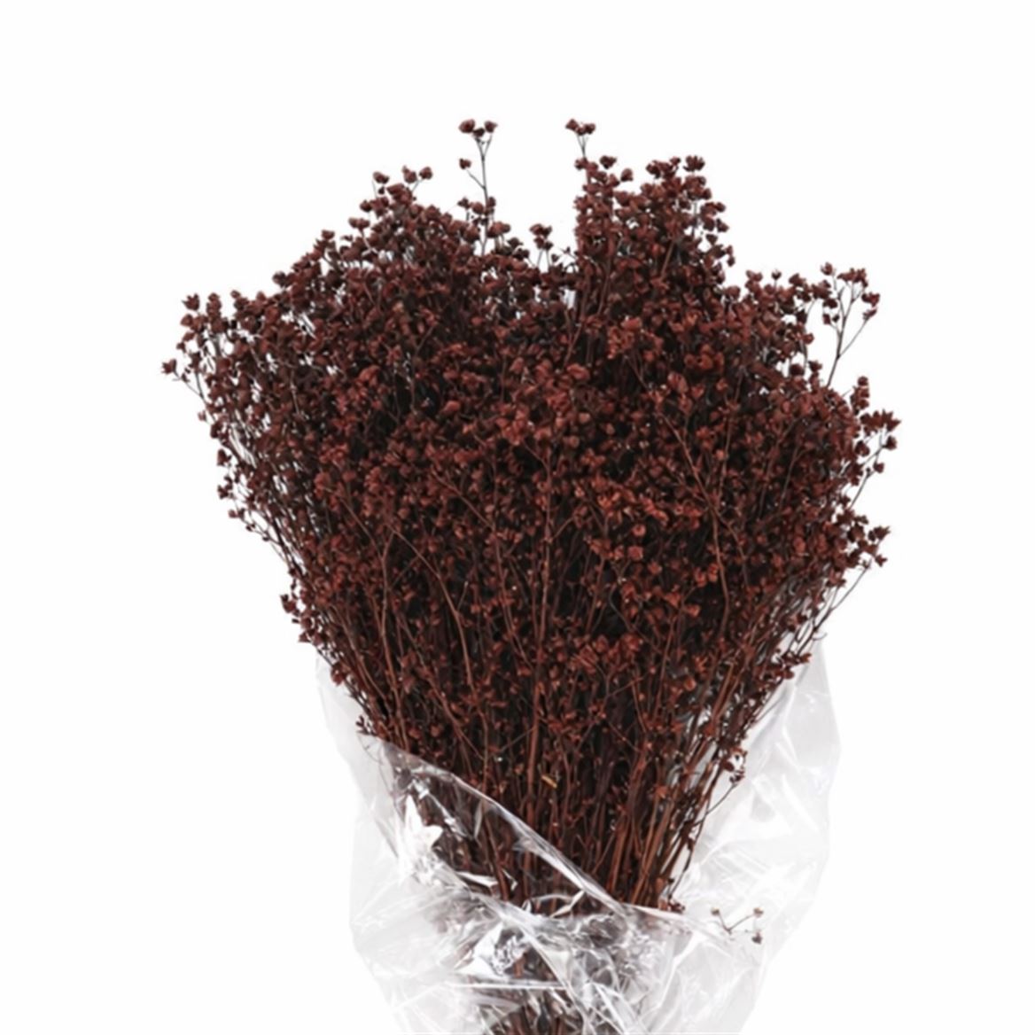 Dried Brooms D. Brown Bunch