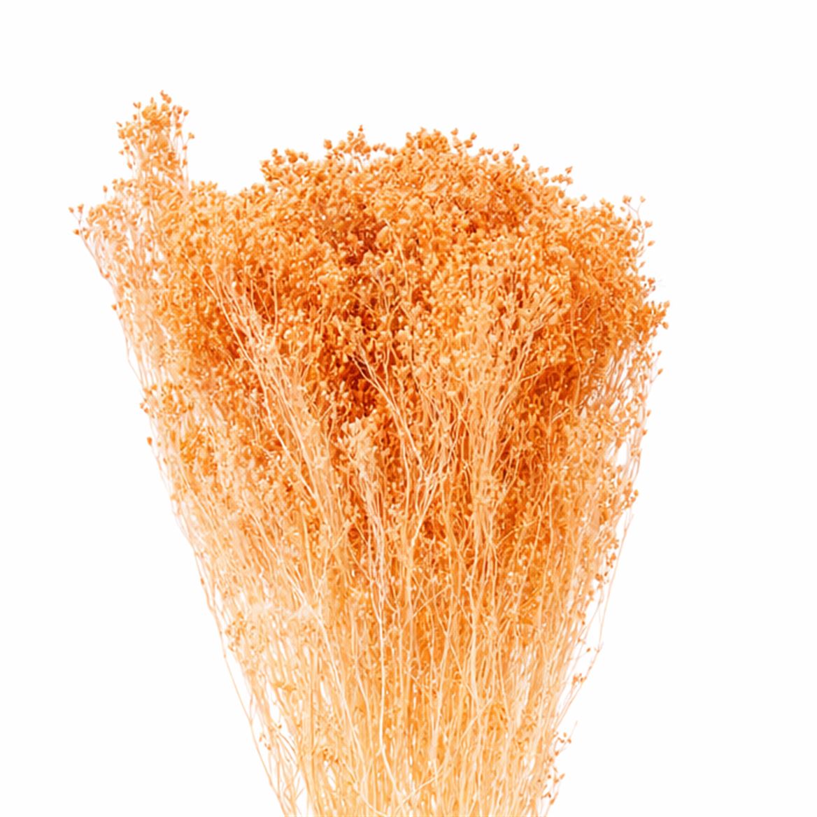 Dried Brooms Salmon Bunch