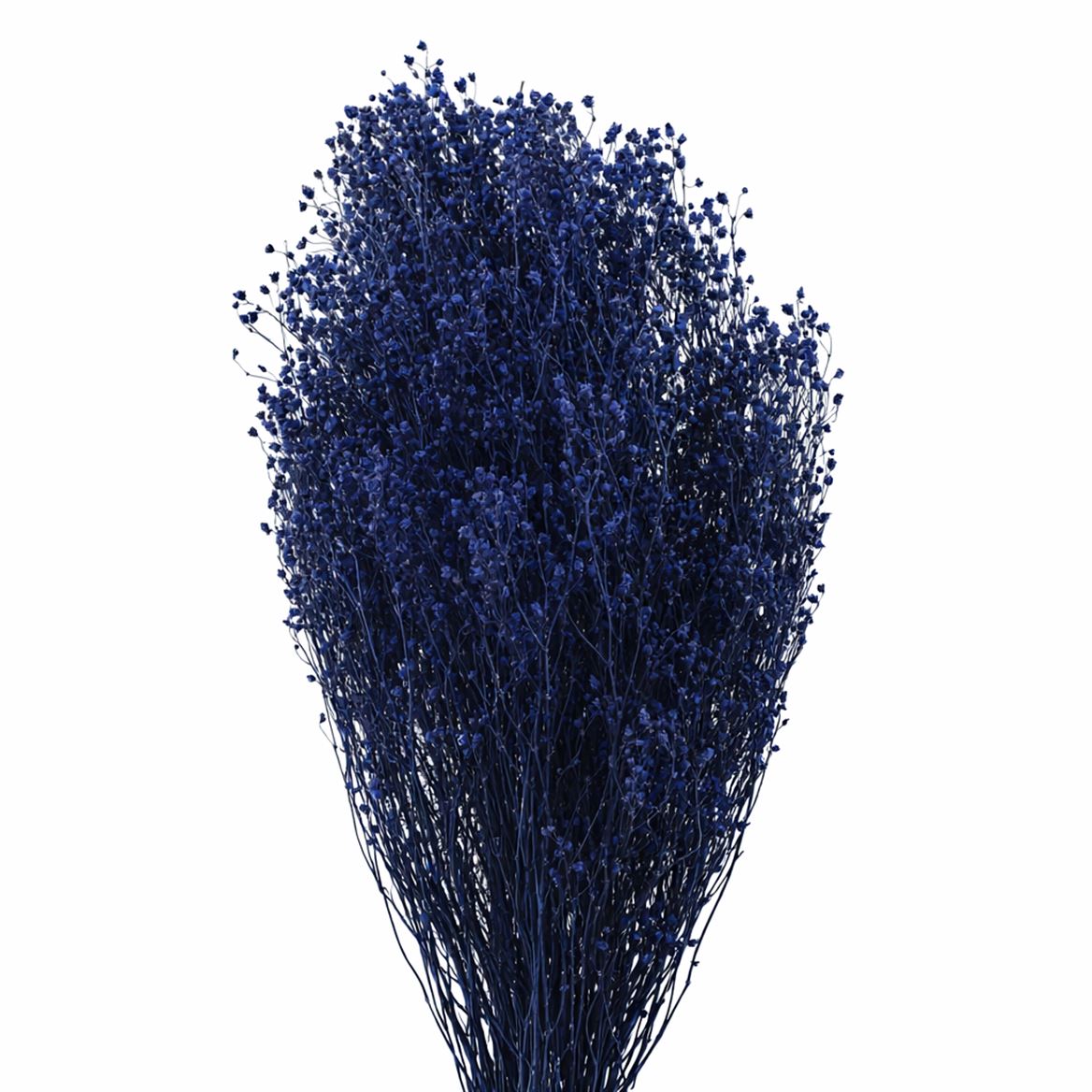 Dried Brooms Dark Blue Bunch