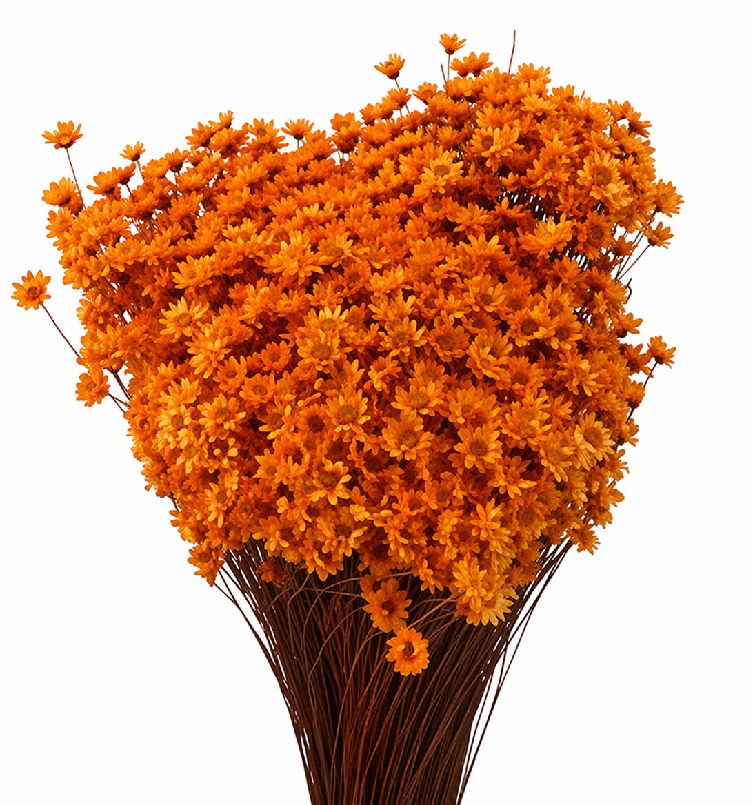 Dried Glixia Orange Bunch