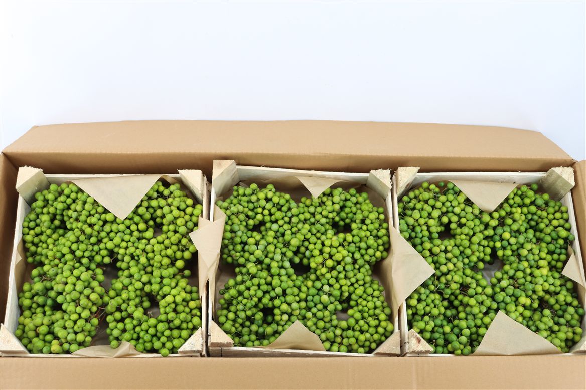 Fruits Malus Per Piece