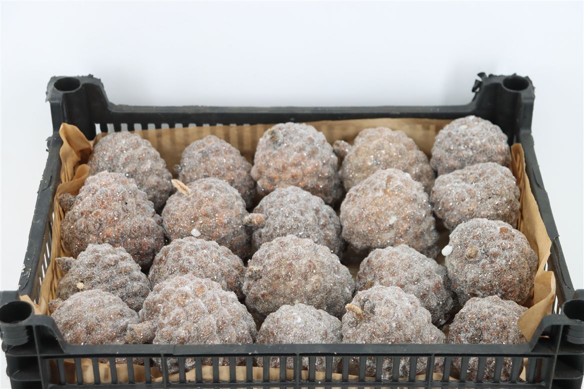 Stick Pine Cone Wax