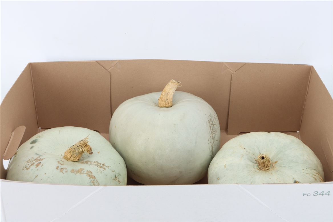 Ornamental Fruits Per Piece