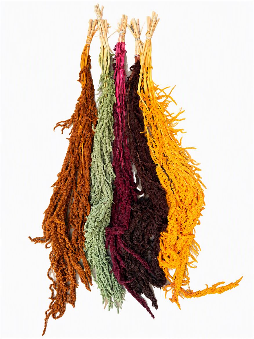 Pres Amaranthus Mix Autumn Bunch