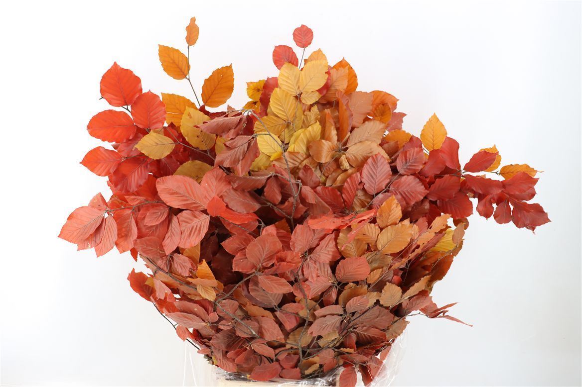 Decorative Greens Painted 90cm 150gram