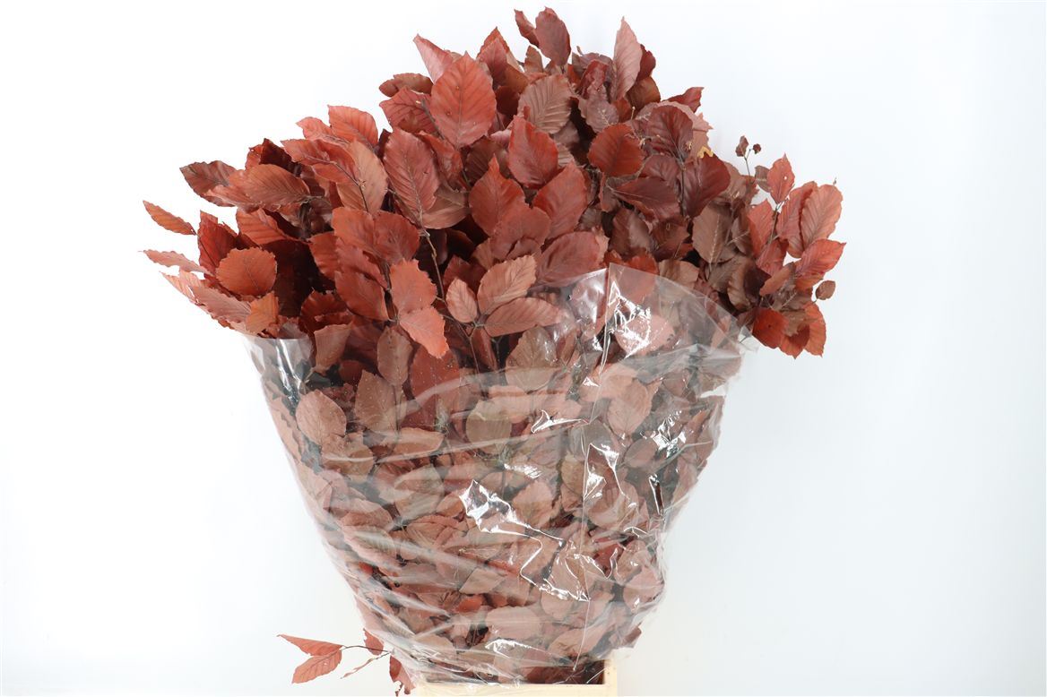 Decorative Greens Painted 90cm 150gram