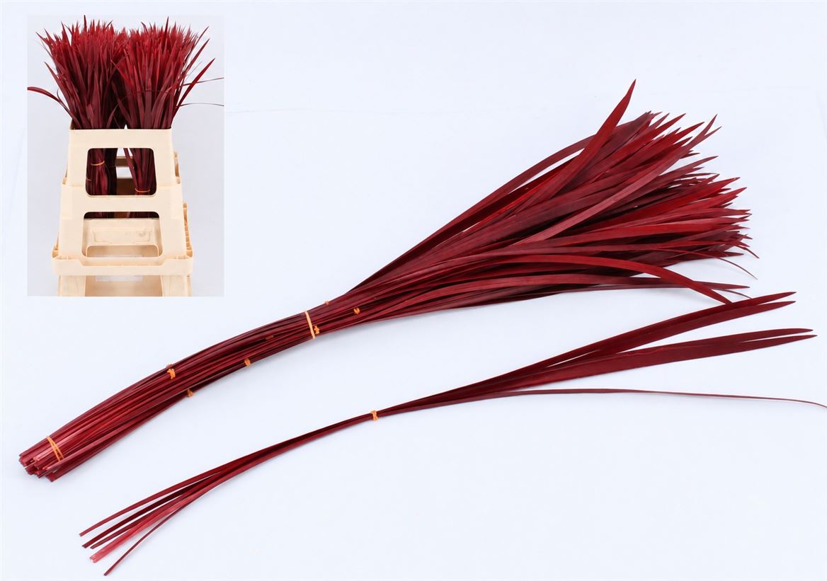 Muscar Ov 65Ø 65cm