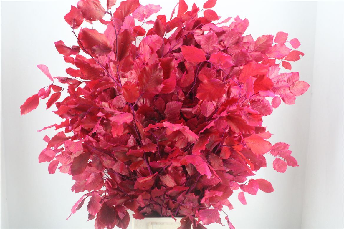 Decorative Greens Painted 90cm 150gram