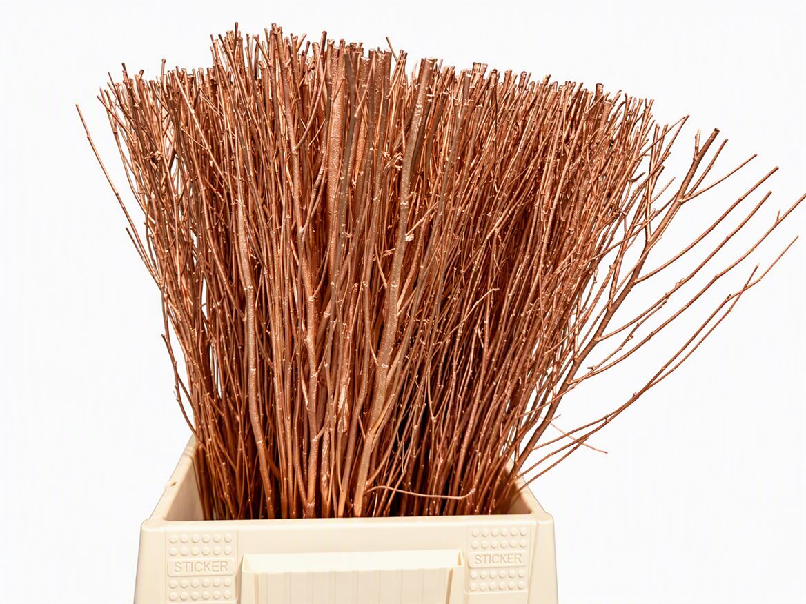 Dried Natural Bunch Copper Cut 50cm