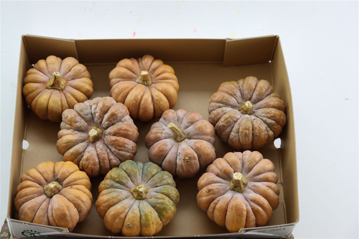 Ornamental Fruits Per Piece