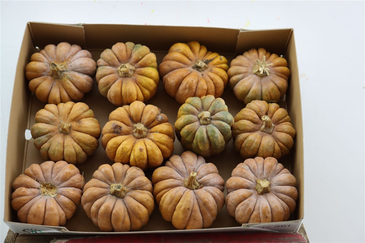 Ornamental Fruits Per Piece