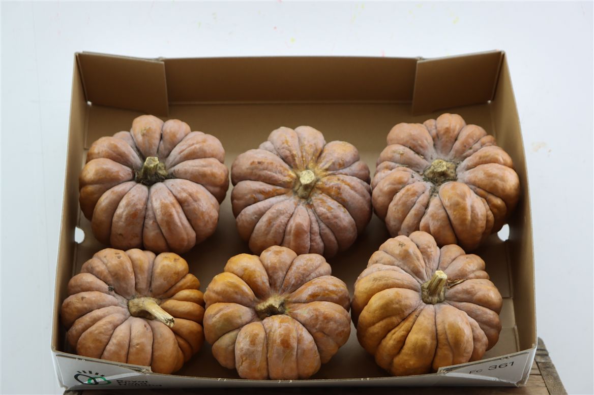 Ornamental Fruits Per Piece