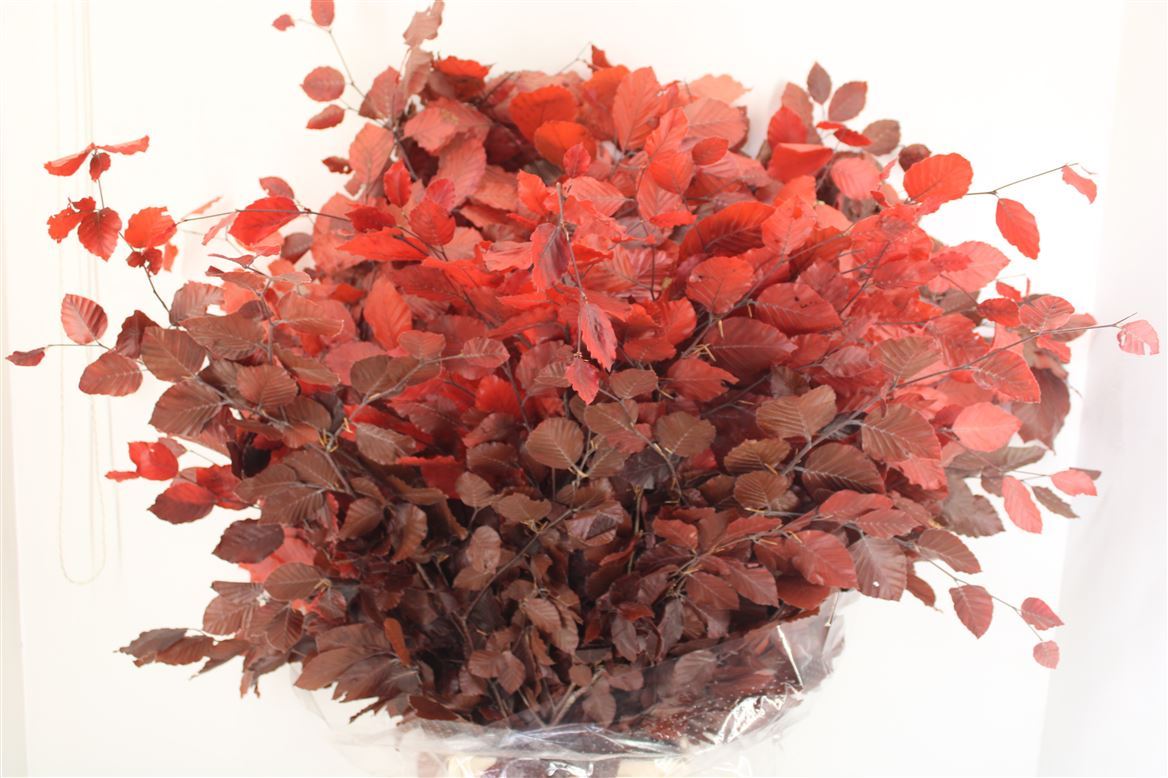 Decorative Greens Painted 90cm 150gram