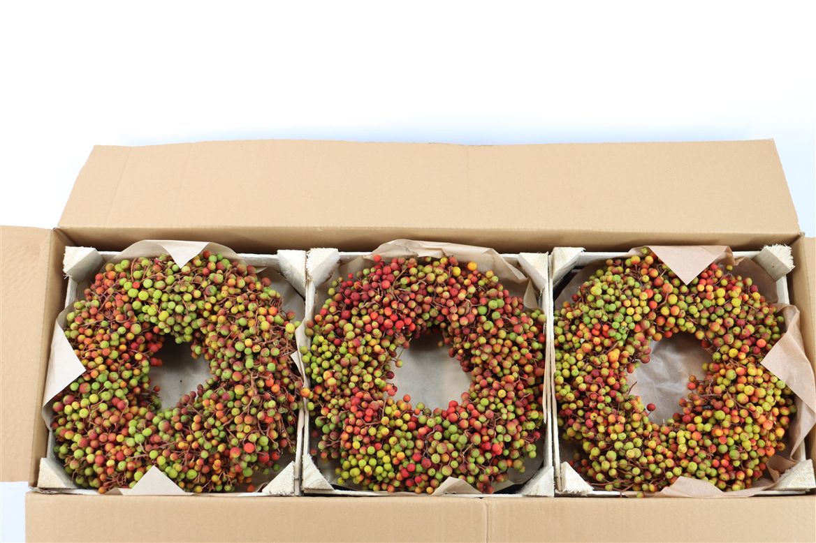 Fruits Malus Per Piece