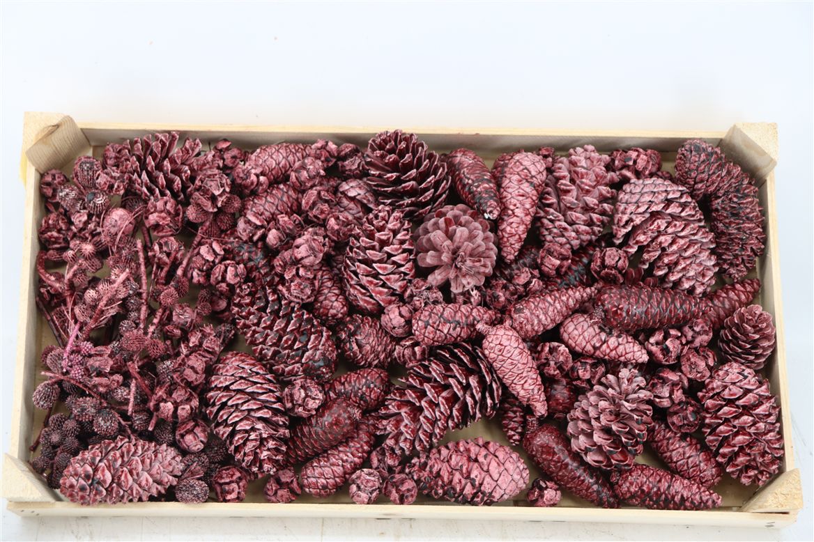 Stick Pine Cone Wax