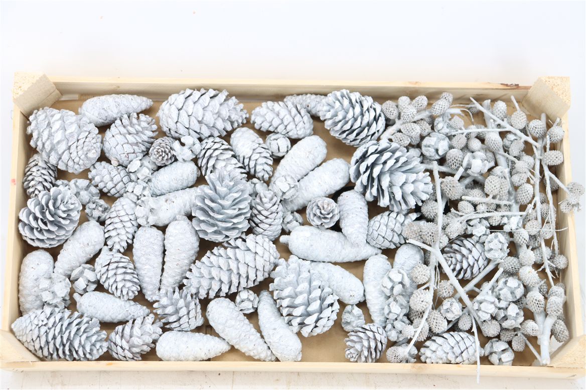 Stick Pine Cone Wax