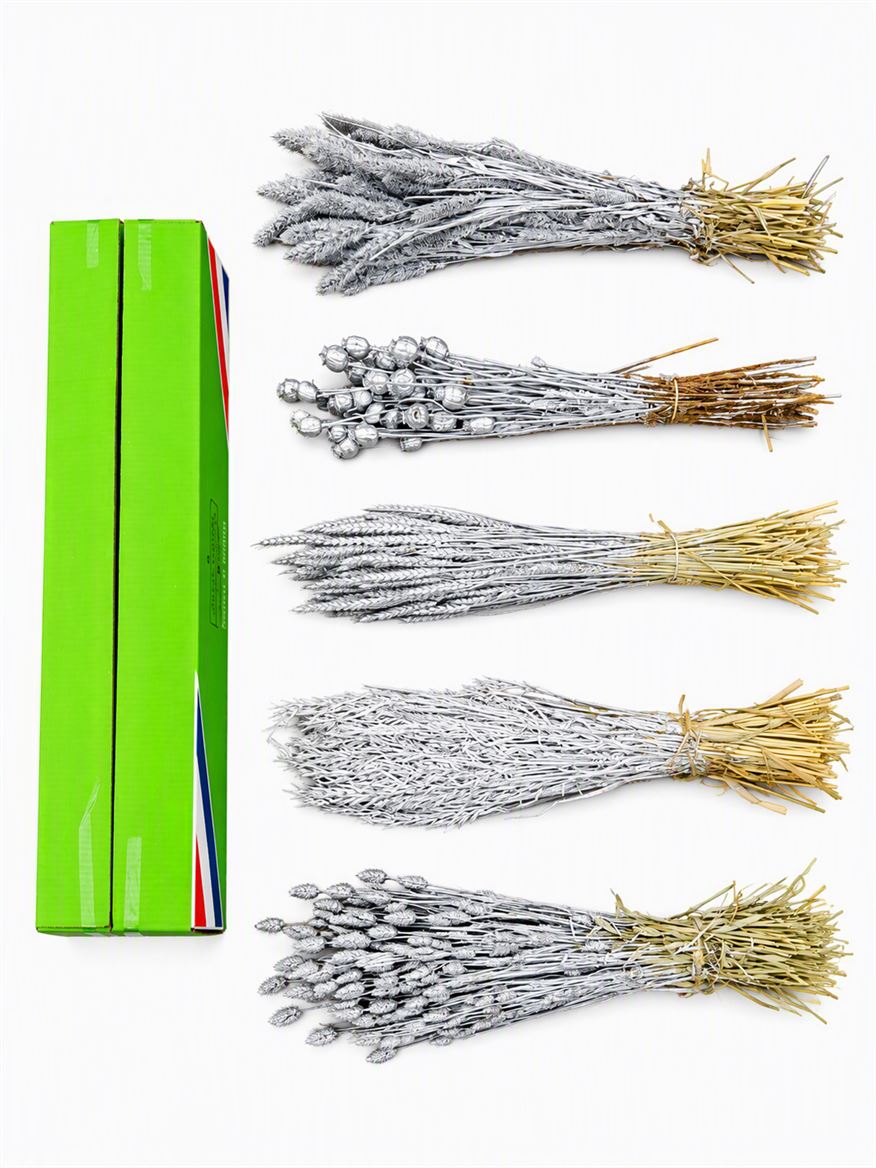Dried Mixed Box Silver Bunch