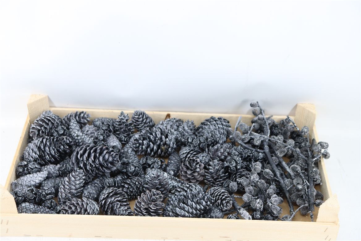 Stick Pine Cone Wax