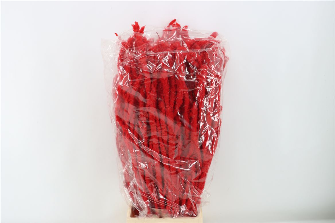 Berk Sneeuw Red P Bos 80cm