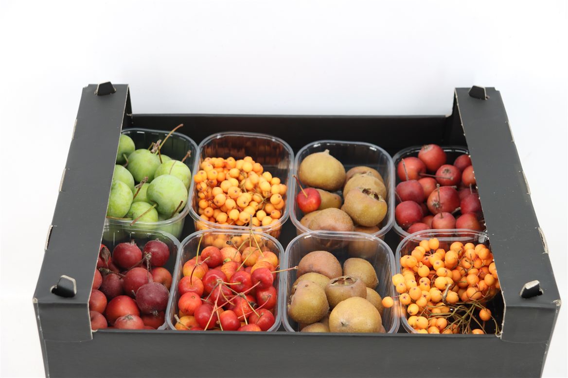 Ornamental Fruits Per Tray