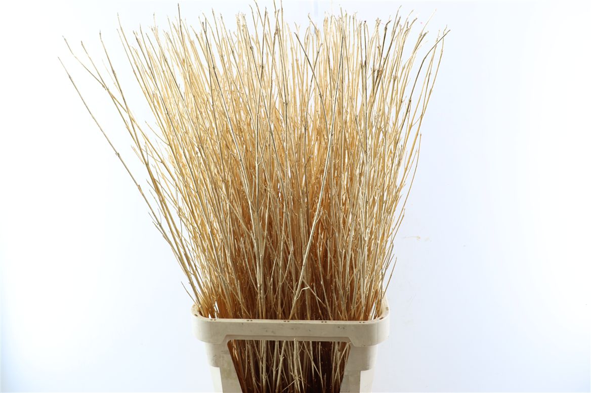 Ov Colrbehandeld 120cm