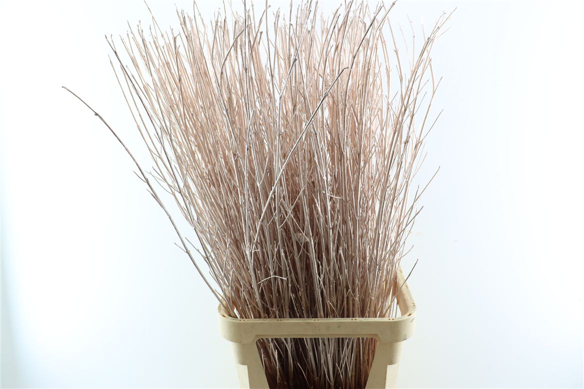 Ov Colrbehandeld 120cm