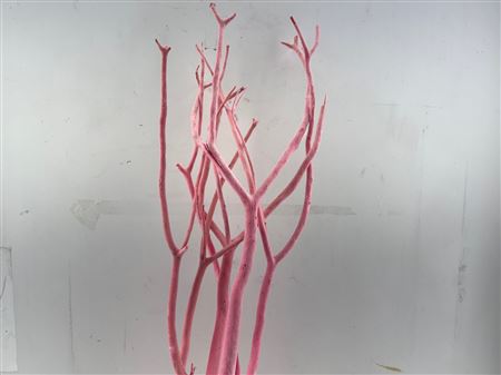 Mitsumata Flaked Light Pink 3pc Bunch