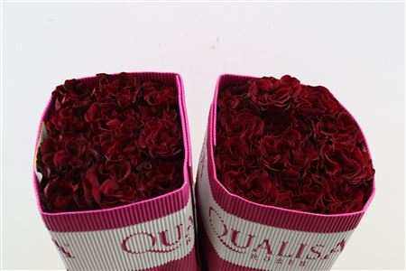 R Gr Hearts