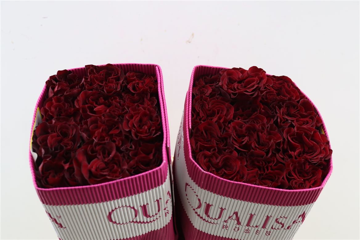 Rosa Hearts 40cm