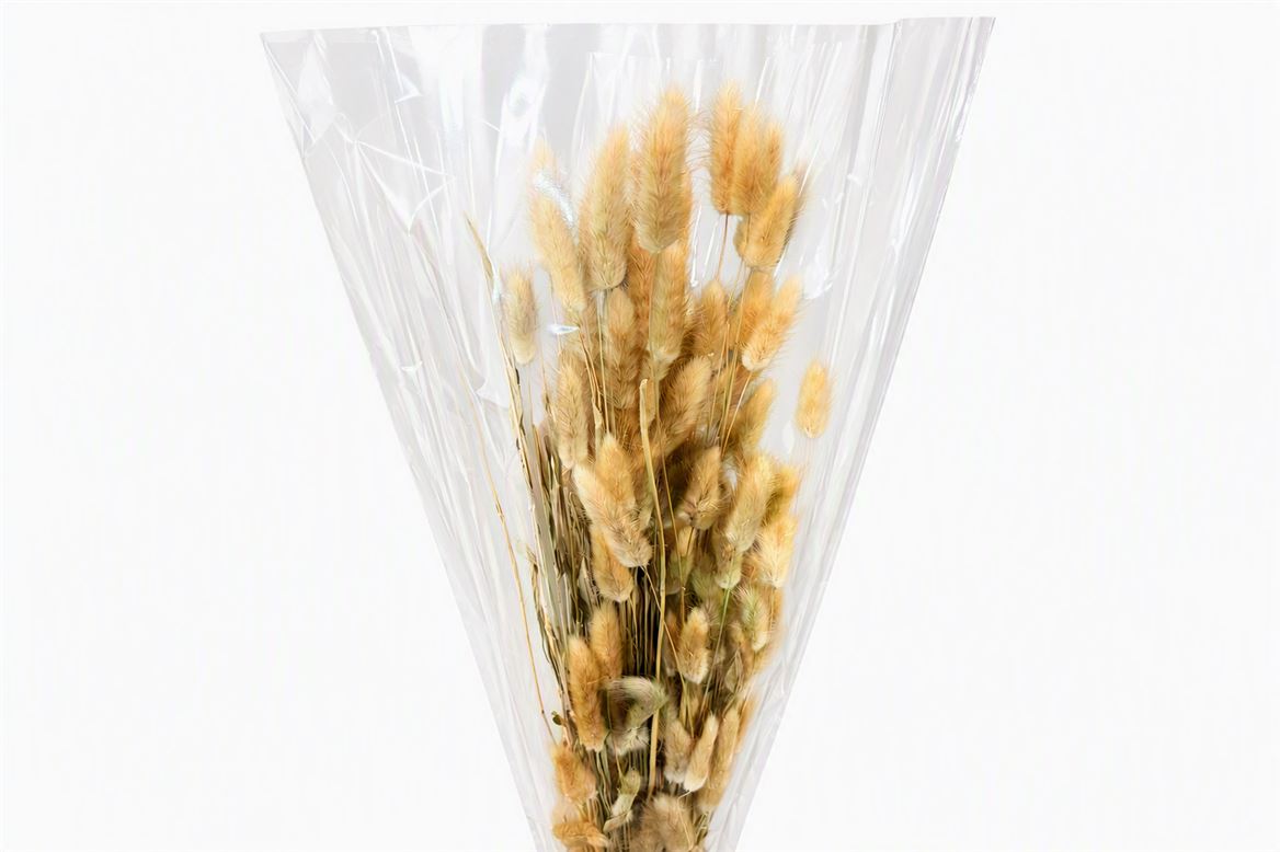 Dried Lagurus Naturel Bunch 100gr Slv
