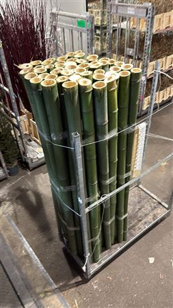 Bamboe 60-80 2meter