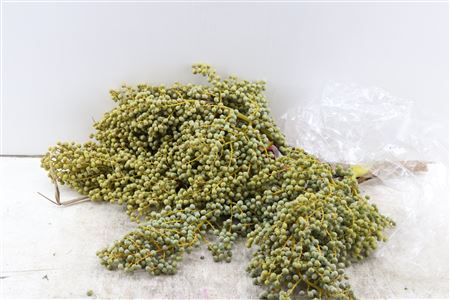 Sier Dadels Di Lago 3 Kg