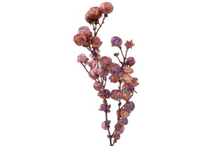 Dried Artz Bougainvillea Da Vinci Bunch Slv