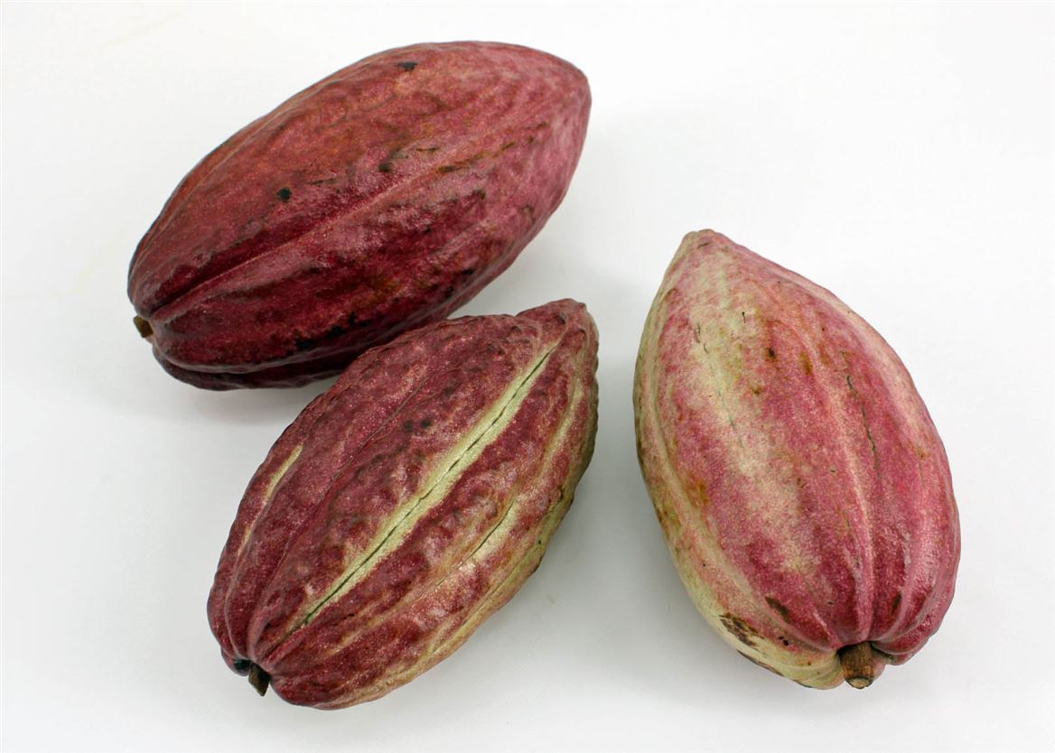 Ornamental Fruits Per Piece