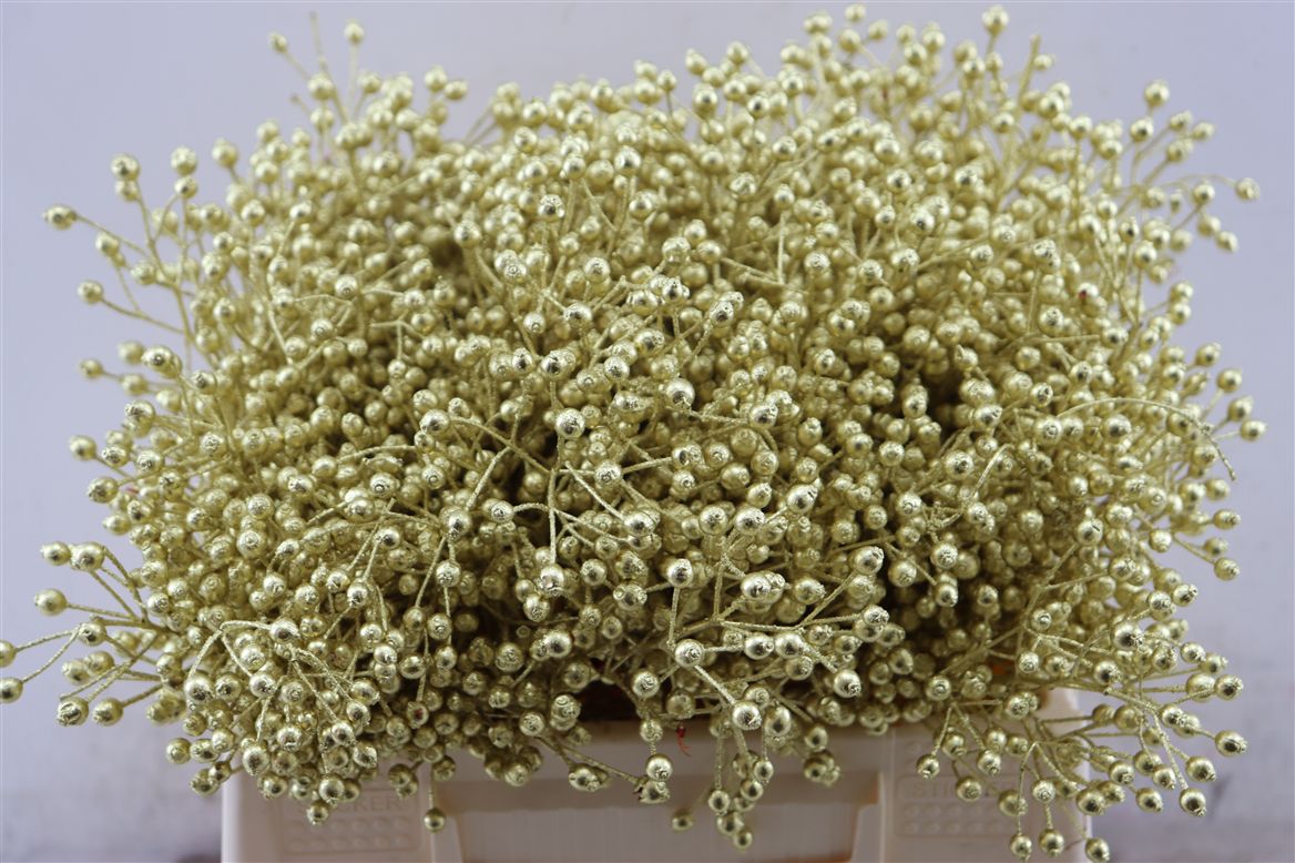 Painted Greenery Per Bunch 120cm